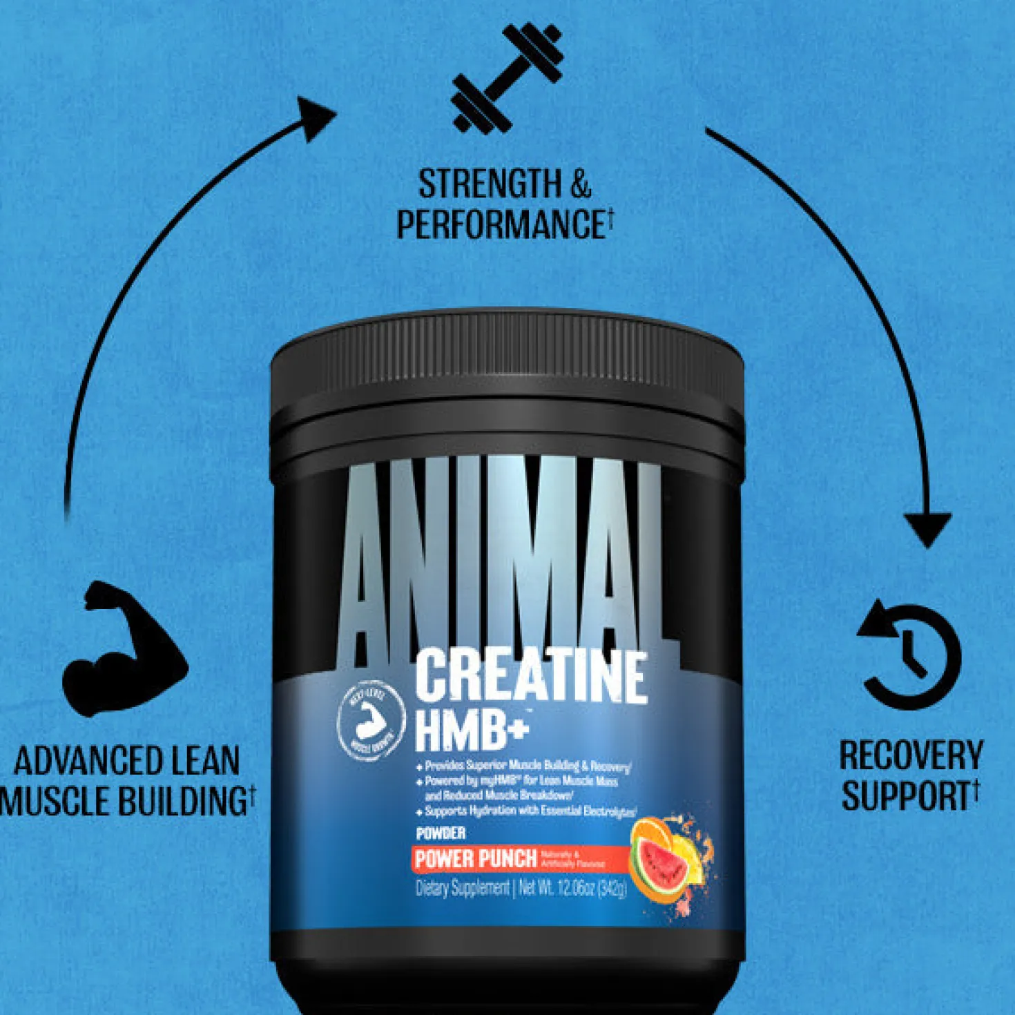 Animal Creatine HMB+ (330g)