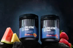 Animal Creatine HMB+ (330g)