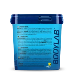 Arginine Powder (500g)