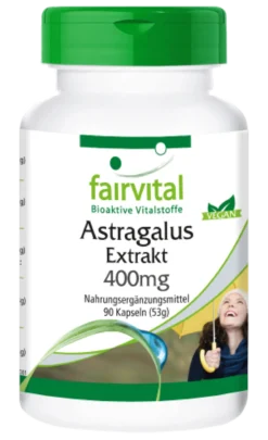Astragalus Extrakt (90 Kapseln)