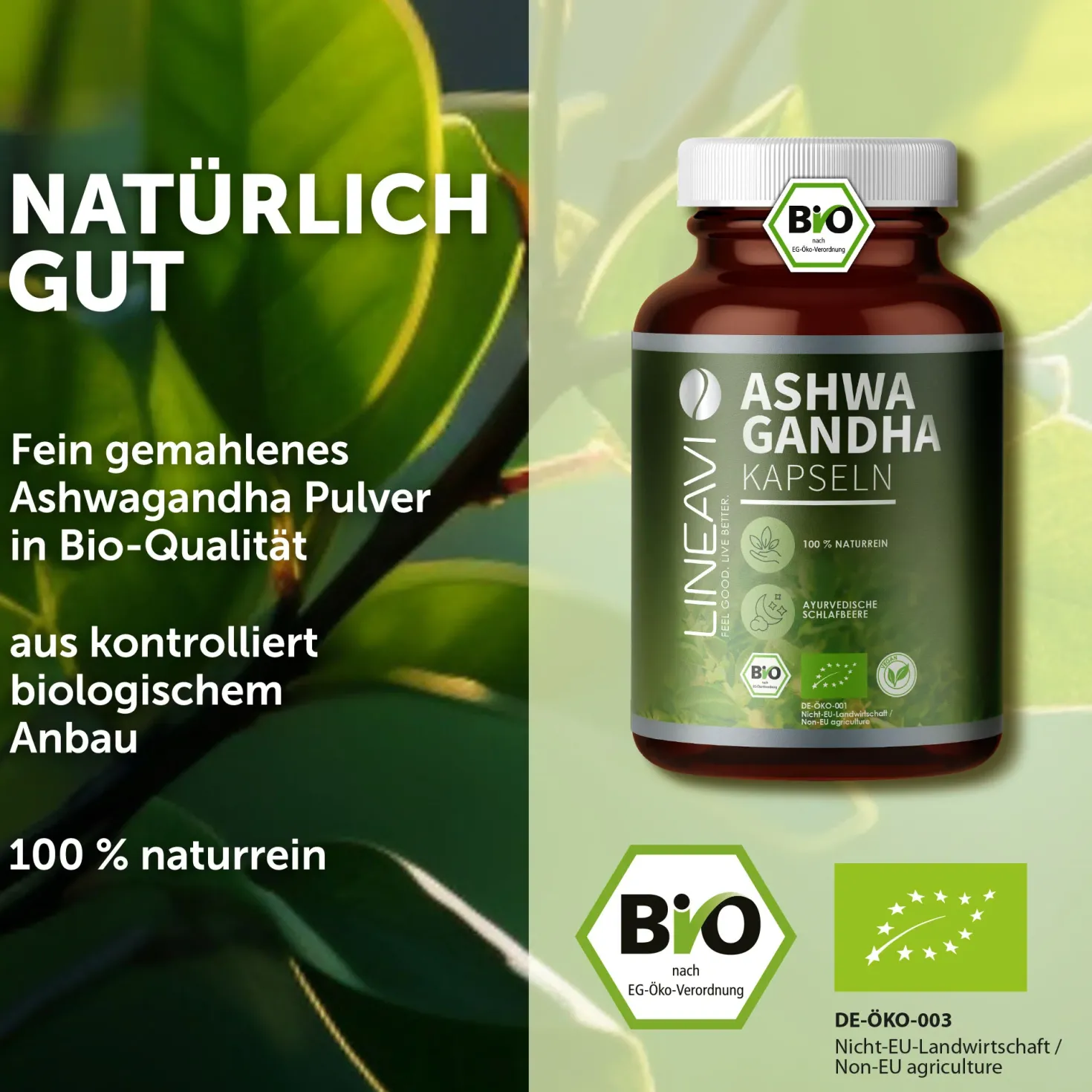 Bio Ashwagandha Kapseln (150 Kapseln)