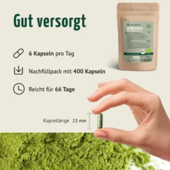Bio Gerstengras Kapseln Nachfüllpack (400 Kapseln)