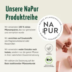 Bio Hagebutten Kapseln (180 Kapseln)