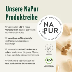 Bio Ingwer Kapseln (160 Kapseln)