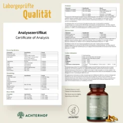 Bio Kurkuma Kapseln (180 Kapseln)