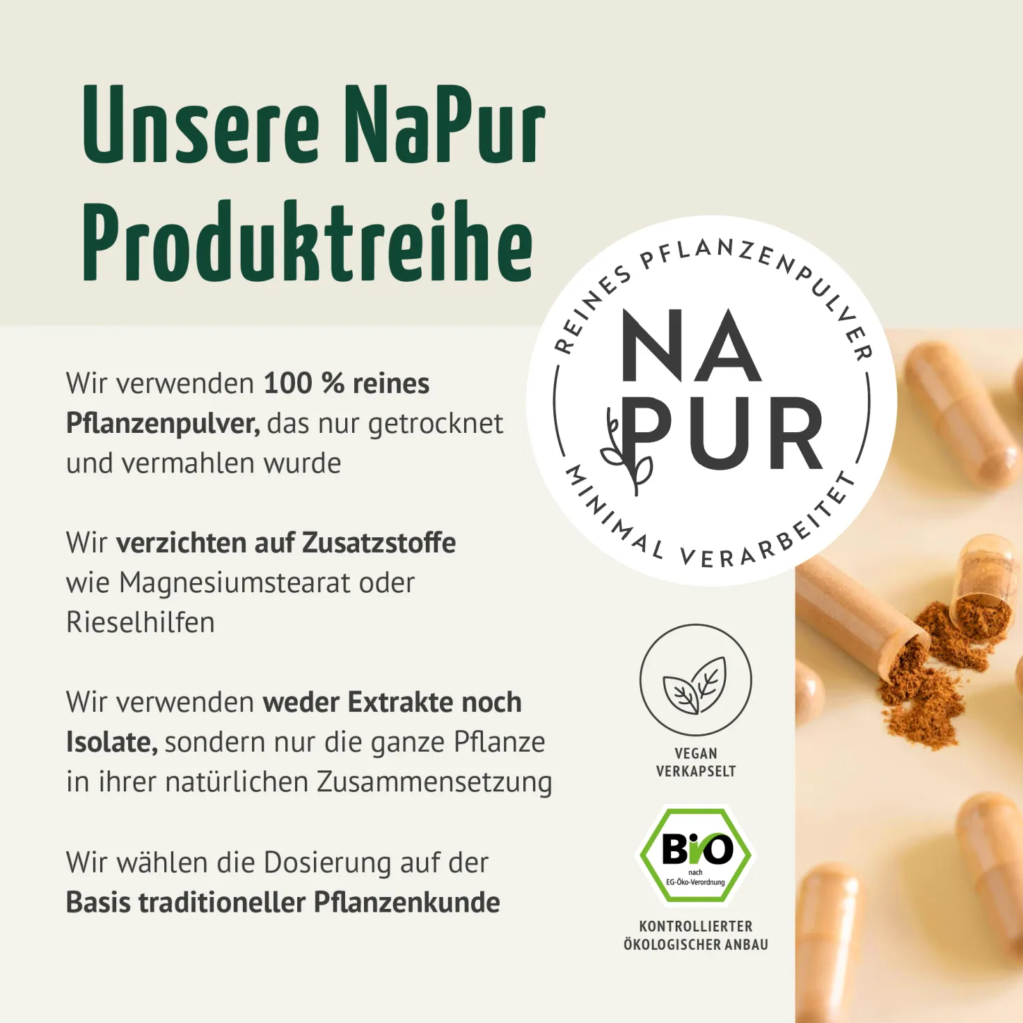 Bio Kurkuma Kapseln Nachfüllpack (400 Kapseln)