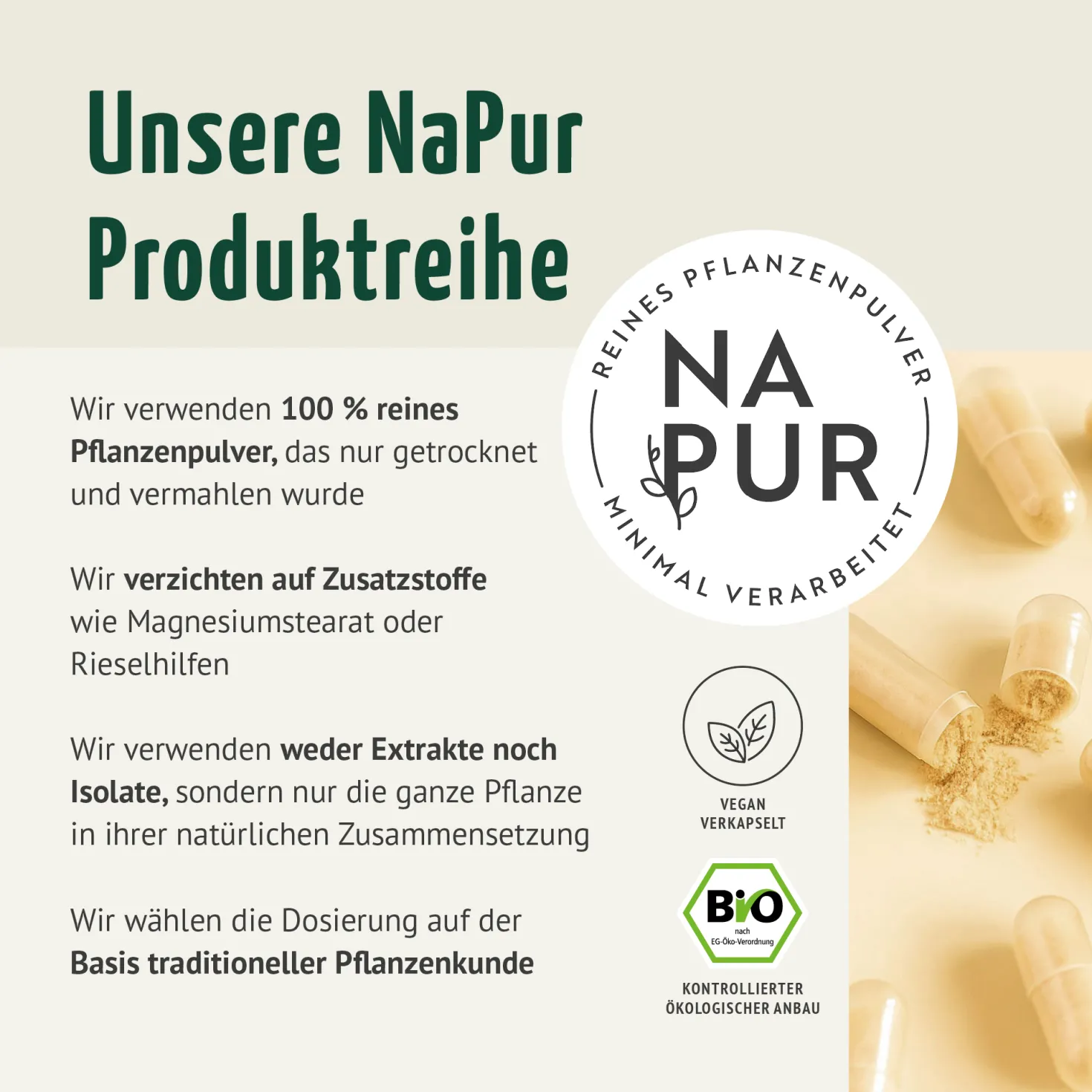 Bio Shatavari Kapseln Nachfüllpack (400 Kapseln)