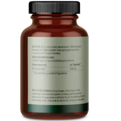 Bio Triphala Kapseln (160 Kapseln)