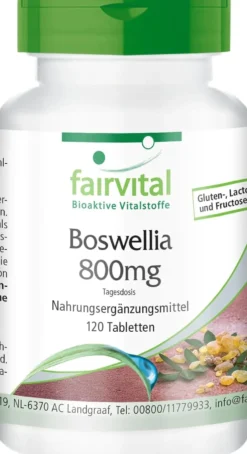 Boswellia (120 Tabletten)
