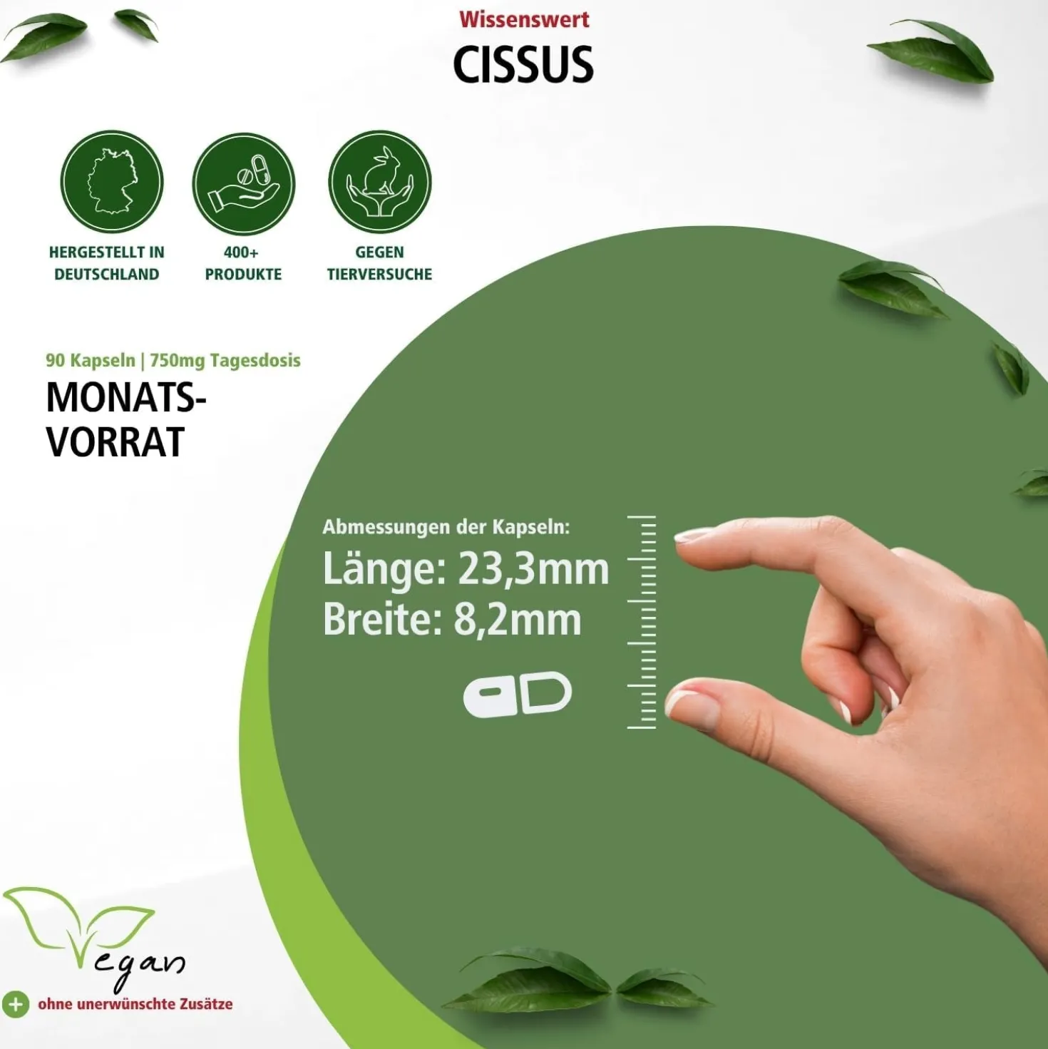 Cissus (90 Kapseln)