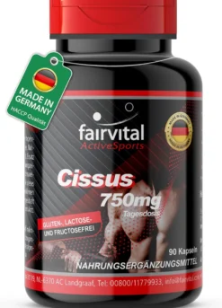 Cissus (90 Kapseln)