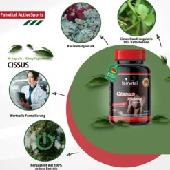 Cissus (90 Kapseln)