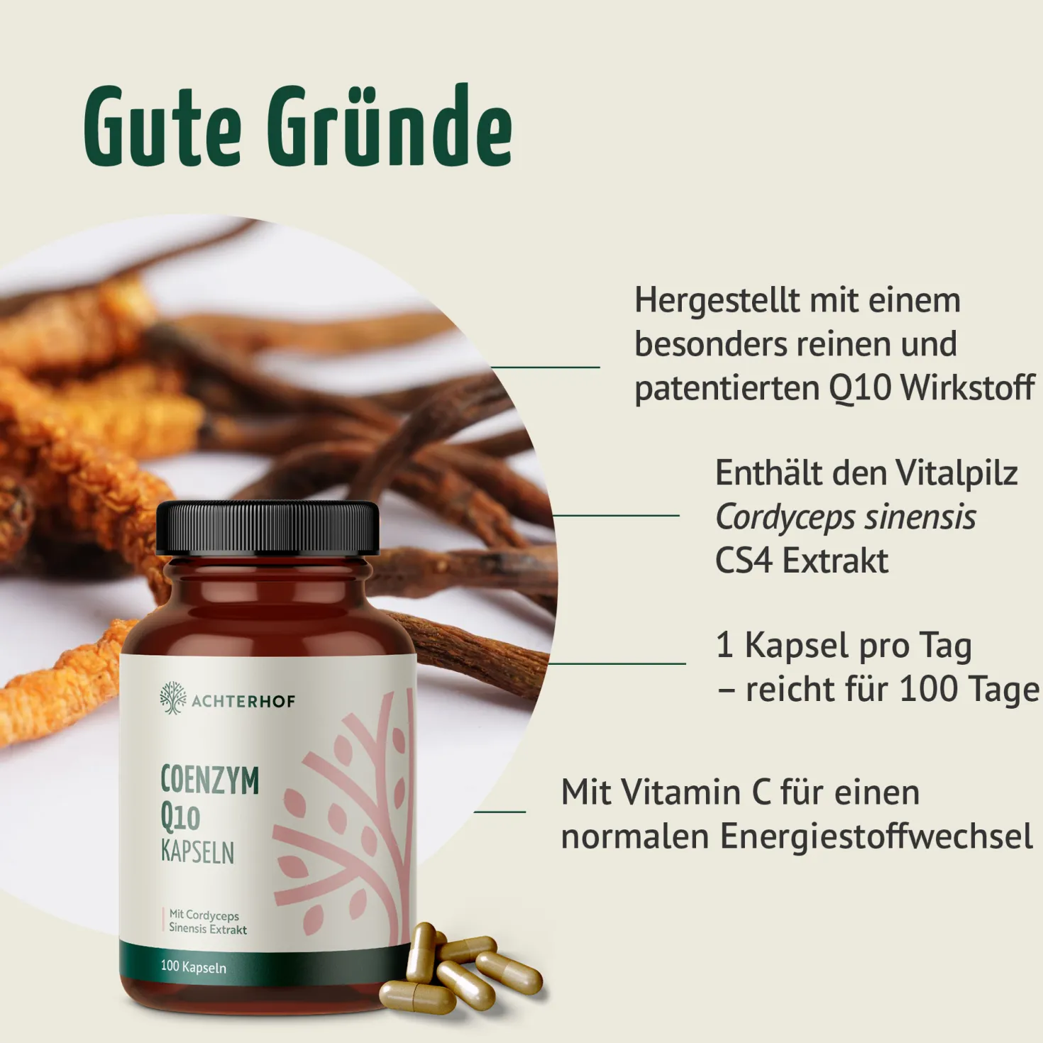 Coenzym Q10 Cordyceps (100 Kapseln)