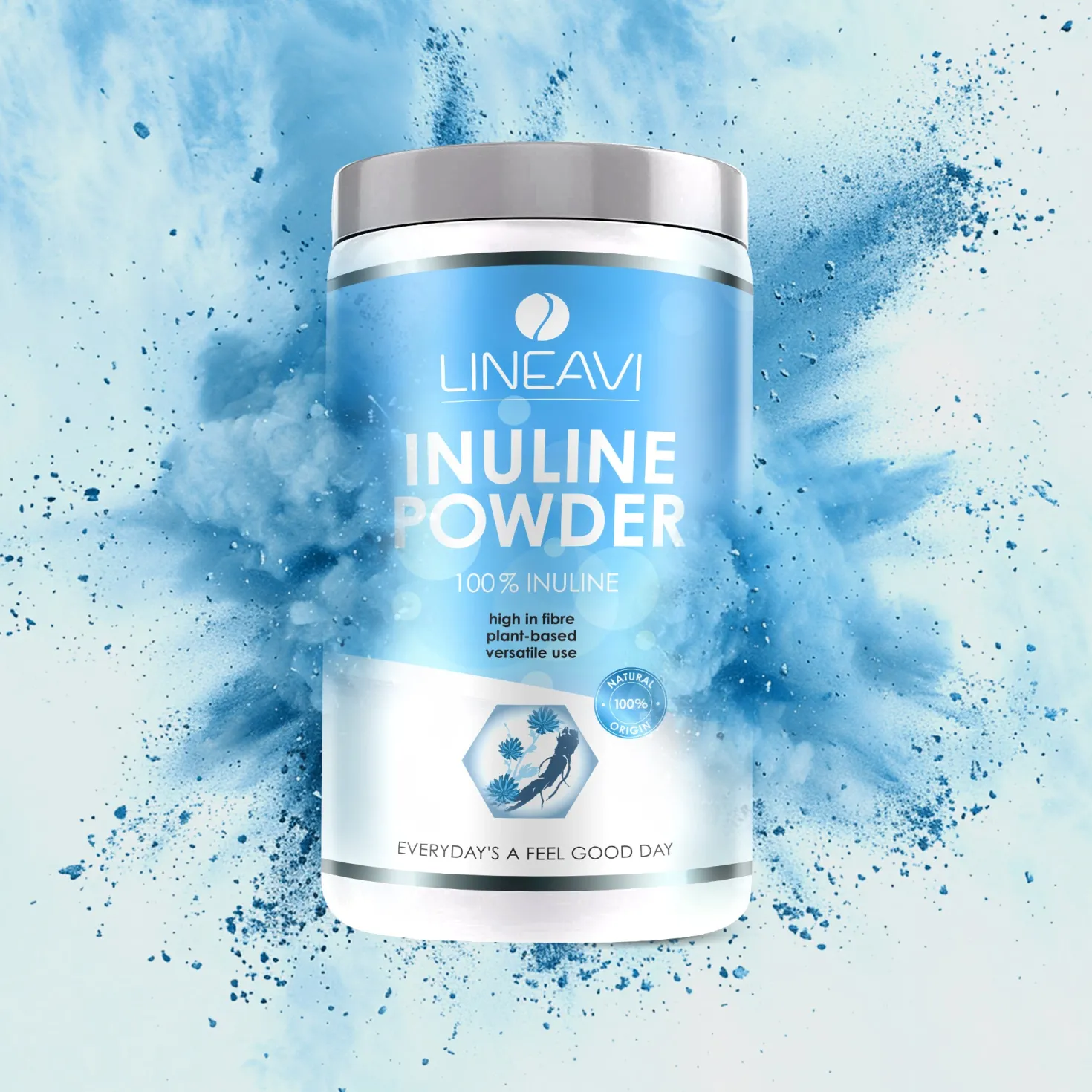 Doppelpack: Inulinpulver (2x500g)