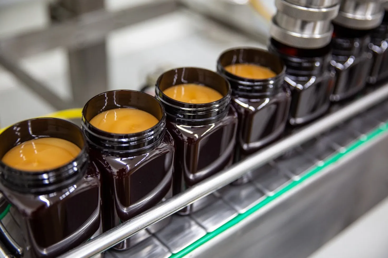 Egmont Manuka Honig MGO 300+ UMF 10+ (500g)
