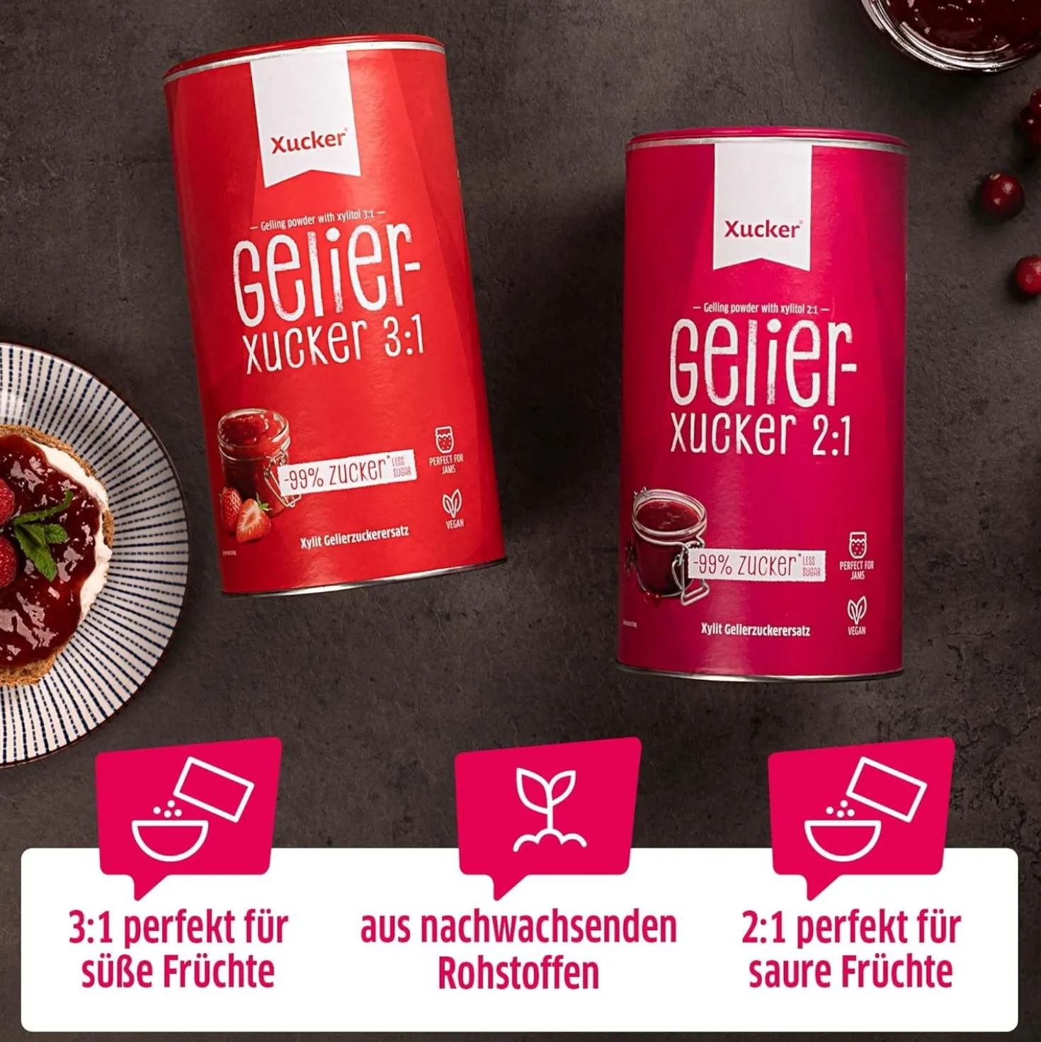 2:1 Gelier-Xucker aus Xylit (4000g)