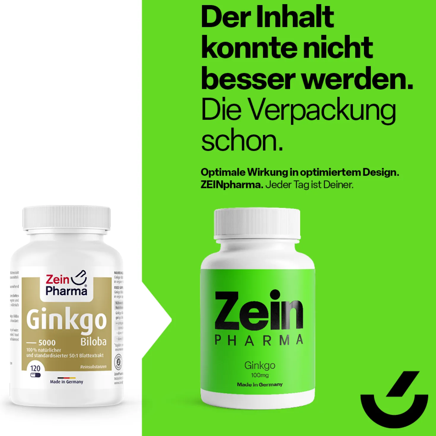 Ginkgo Biloba 100mg (120 Kapseln)