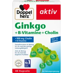 Ginkgo + Vitamin B + Cholin (40 Kapseln)