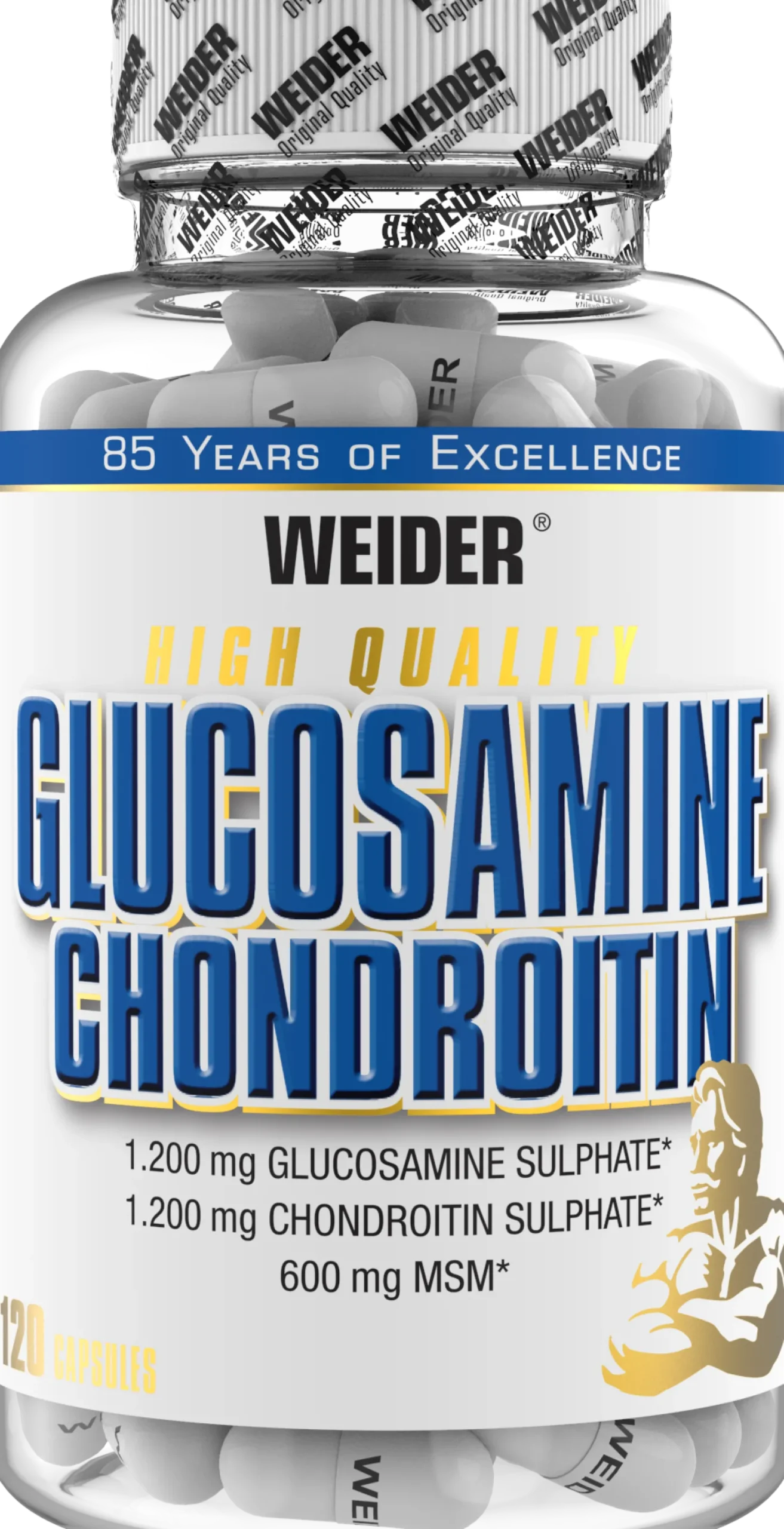Glucosamine + Chondroitin Plus MSM (120 Kapseln)