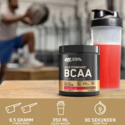 Gold Standard BCAA Train&Sustain (266g)
