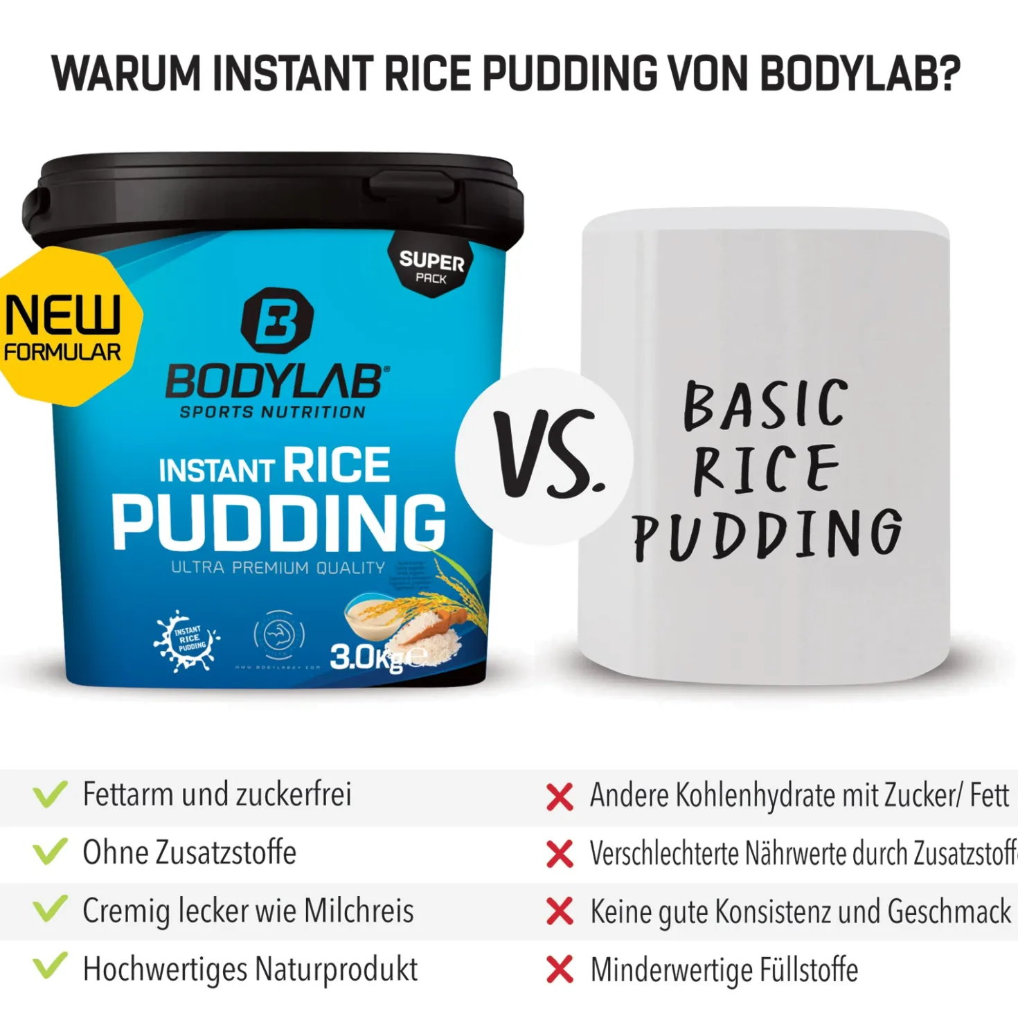 Instant Rice Pudding (3000g)