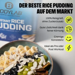 Instant Rice Pudding (3000g)