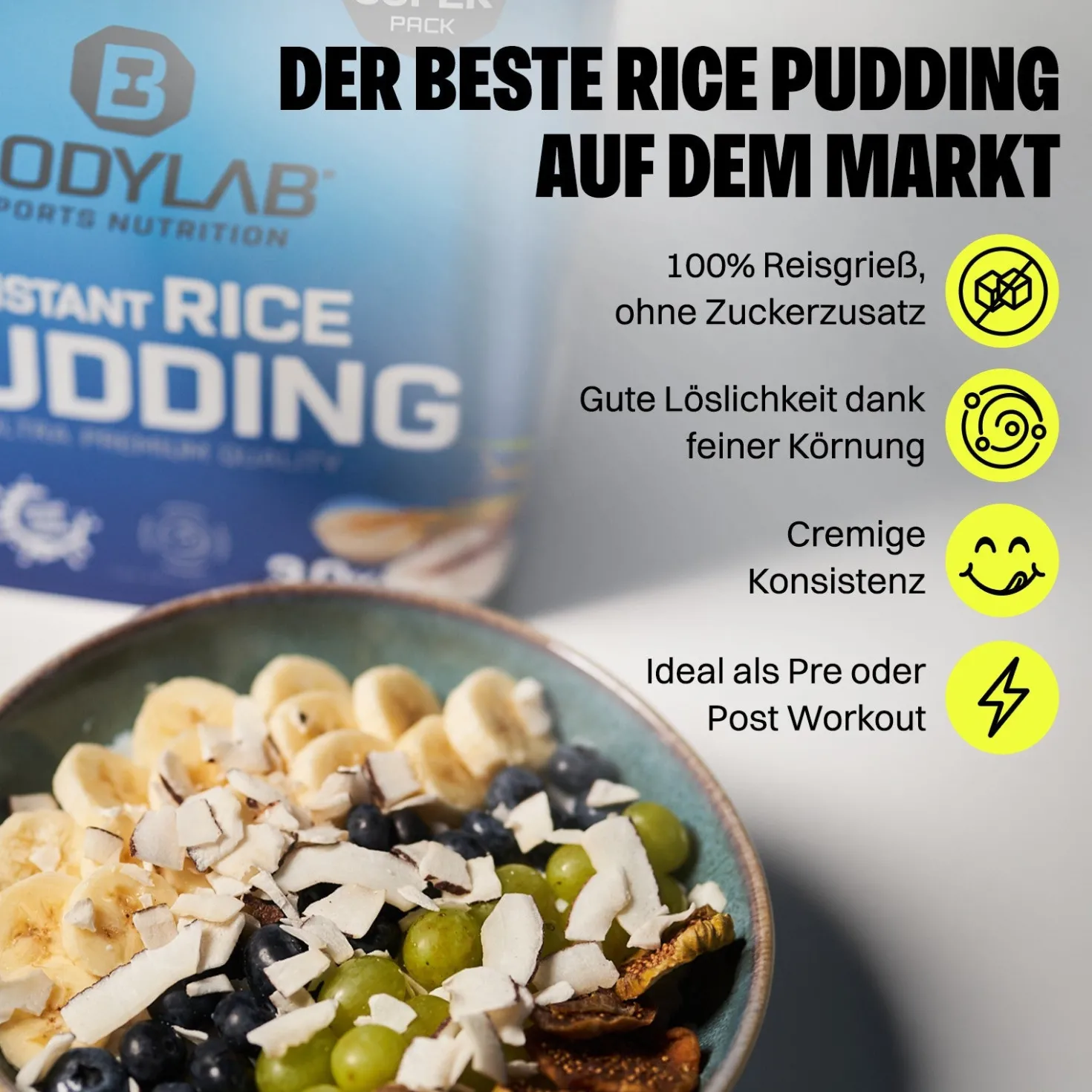 Instant Rice Pudding (3000g)