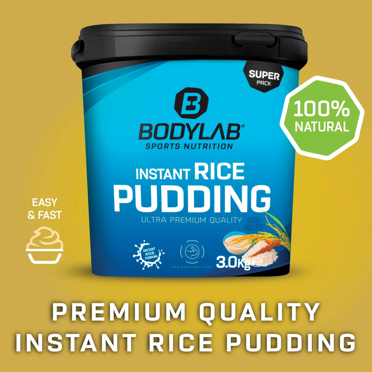 Instant Rice Pudding (3000g)