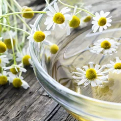 Kamillenblüten ganz Bio (500g)