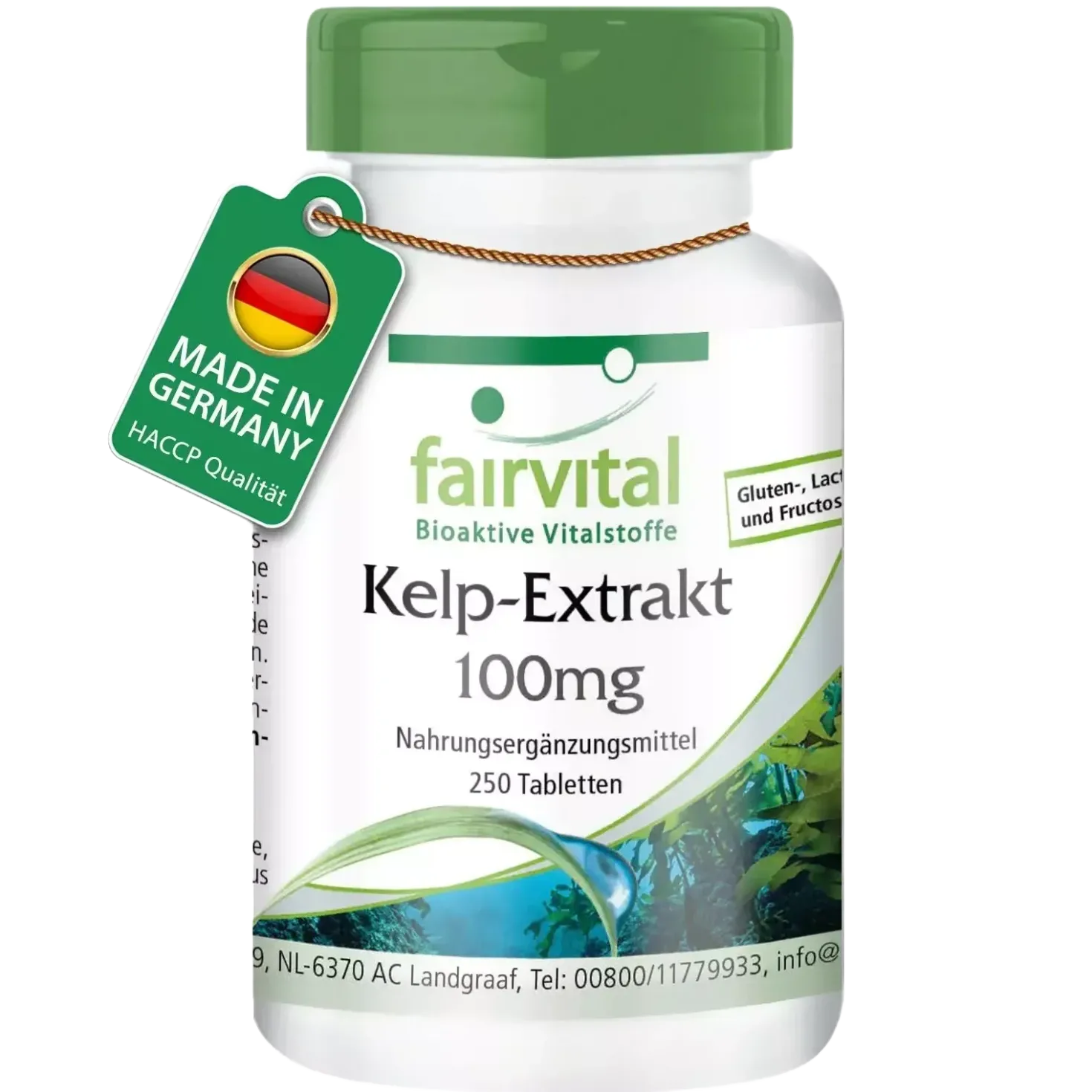 Kelp-Extrakt 100mg (250 Tabletten)
