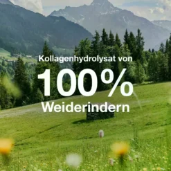 Kollagen (700g)