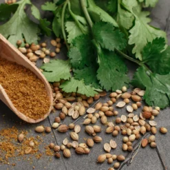 Koriandersaat ganz Bio (500g)