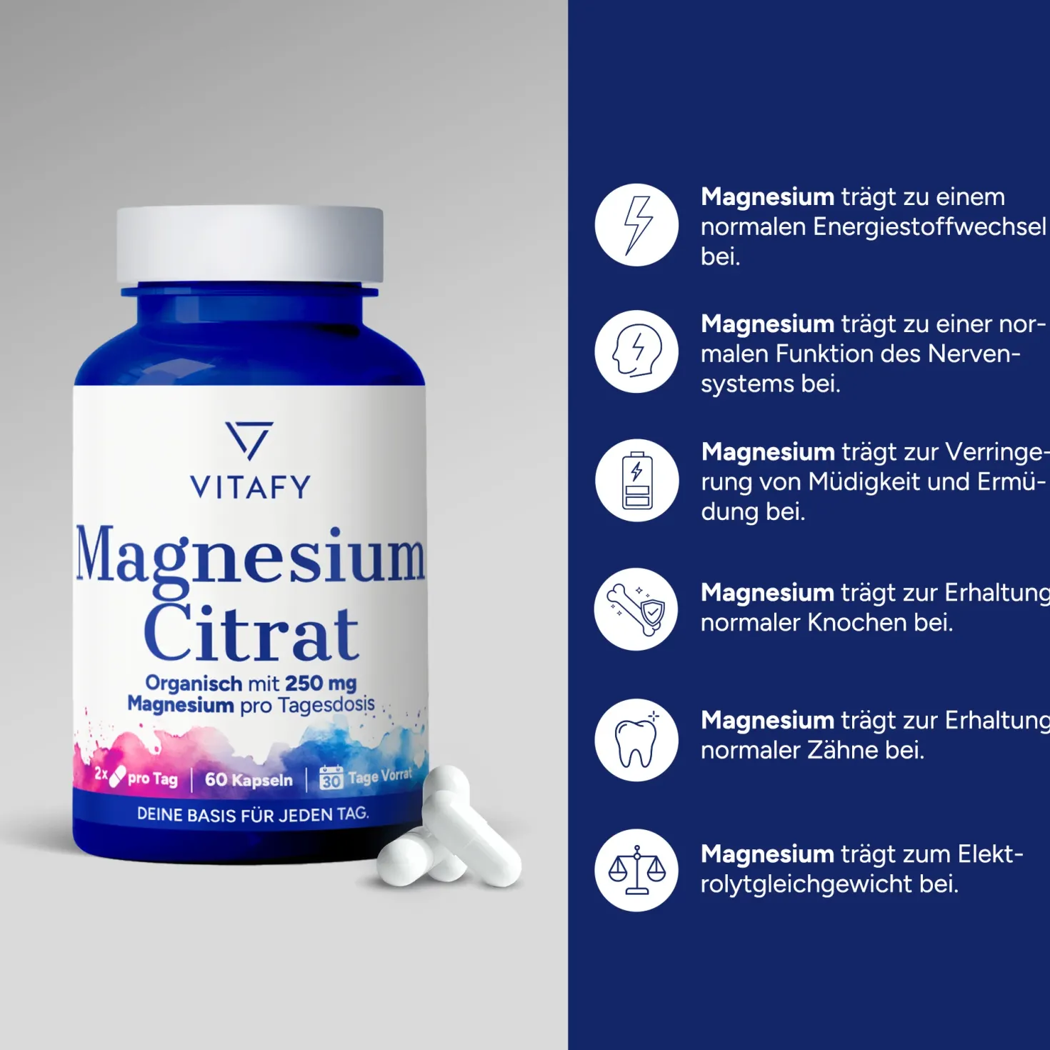 Magnesium Citrat (60 Kapseln)