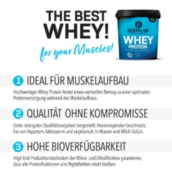 Megadeal 1 - Basic Aufbau Pack