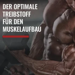 Mega Mass 4000 (3000g)