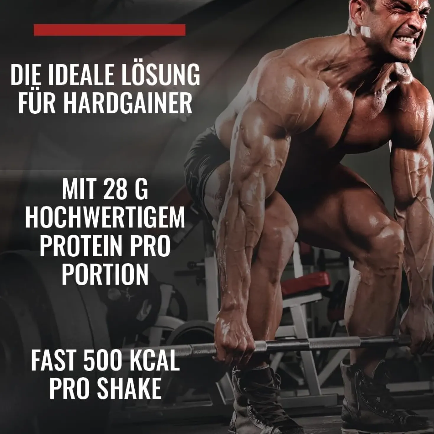 Mega Mass 4000 (3000g)