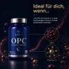 OPC Traubenkernextrakt + Vitamin C (60 Kapseln)