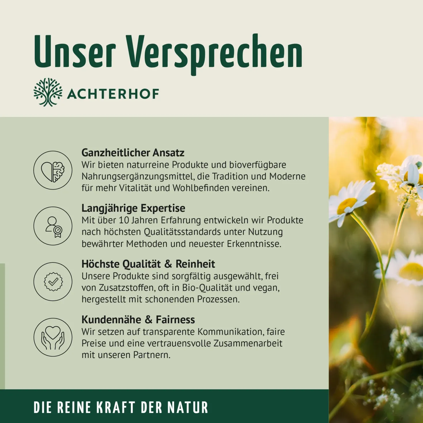 OPC Traubenkernextrakt + Vitamin C Kapseln (200 Kapseln)
