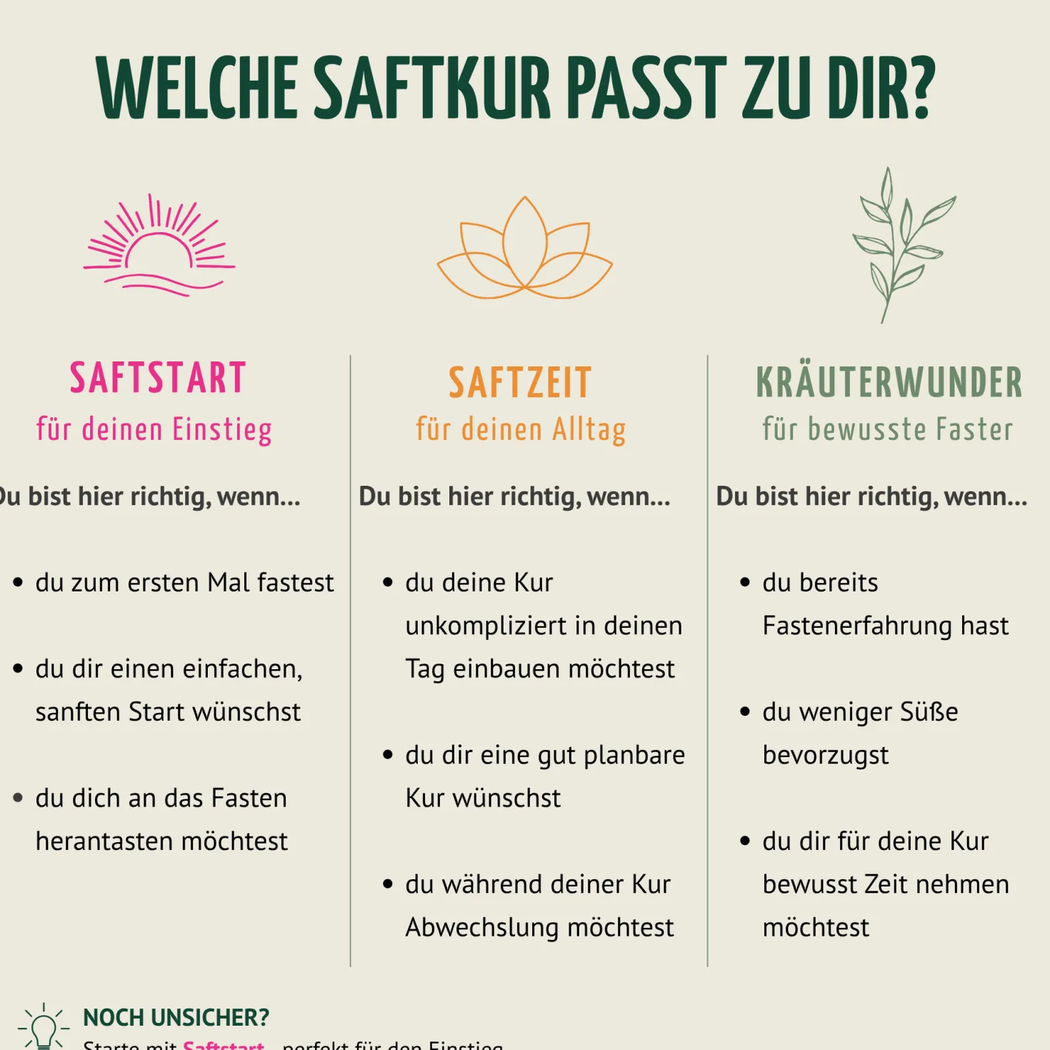 Saftzeit Bio Fastenkur 1-7 Tage (6 Flaschen pro Tag)