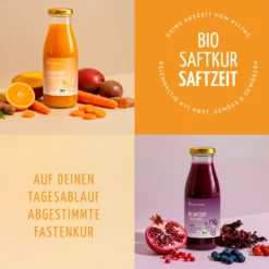 Saftzeit Bio Fastenkur 1-7 Tage (6 Flaschen pro Tag)