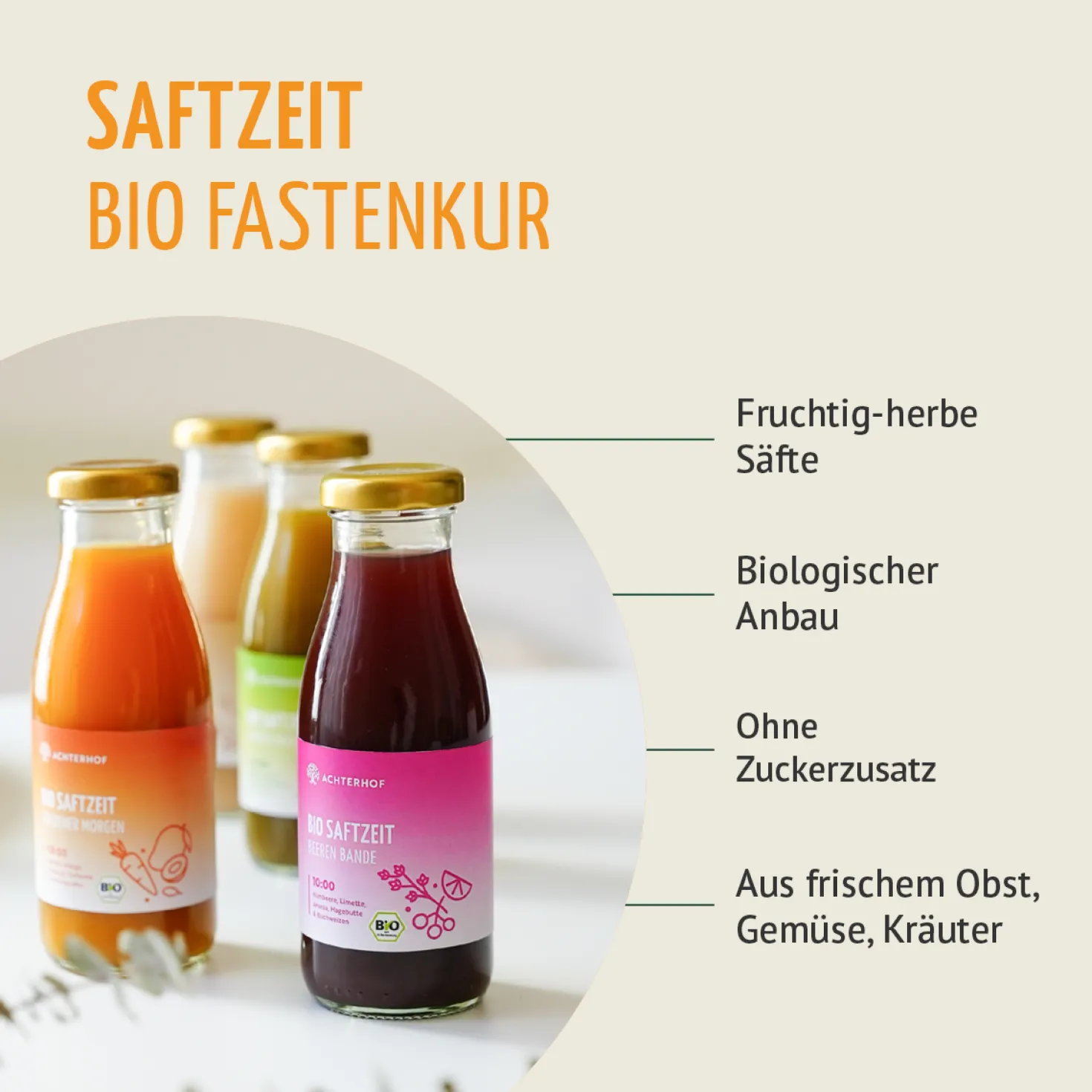 Saftzeit Bio Fastenkur 1-7 Tage (6 Flaschen pro Tag)
