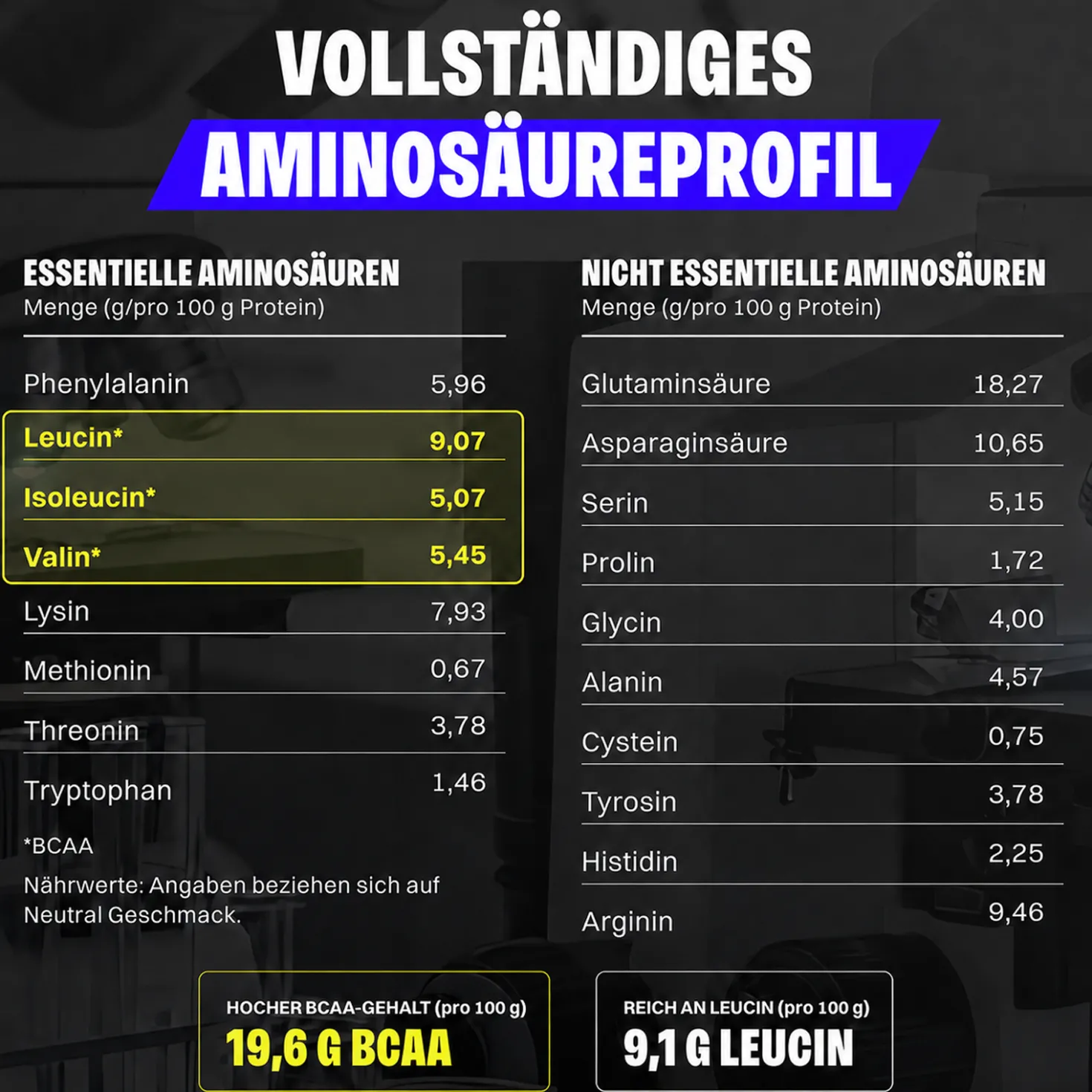 Vegan Protein (1000g)
