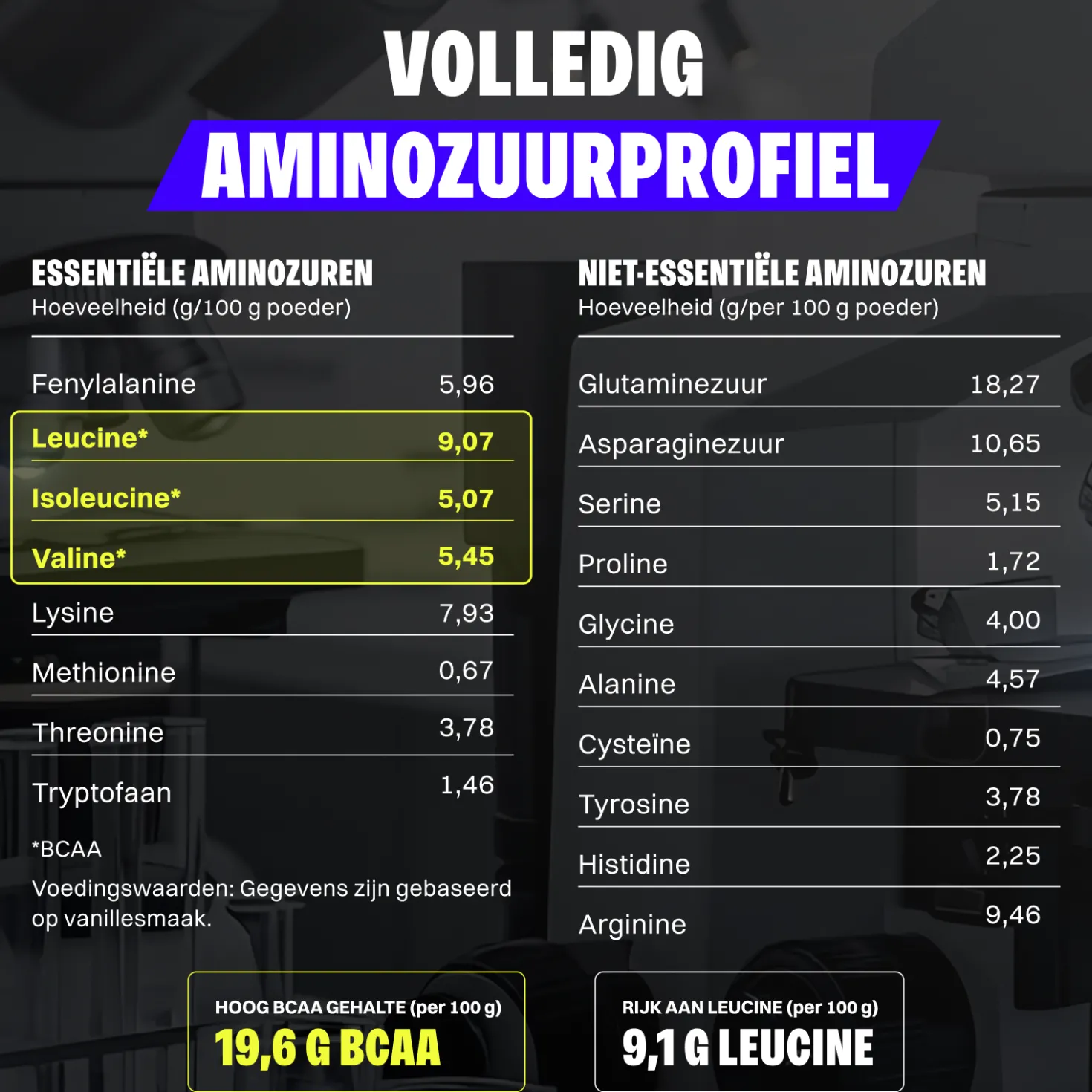 Vegan Protein (1000g)