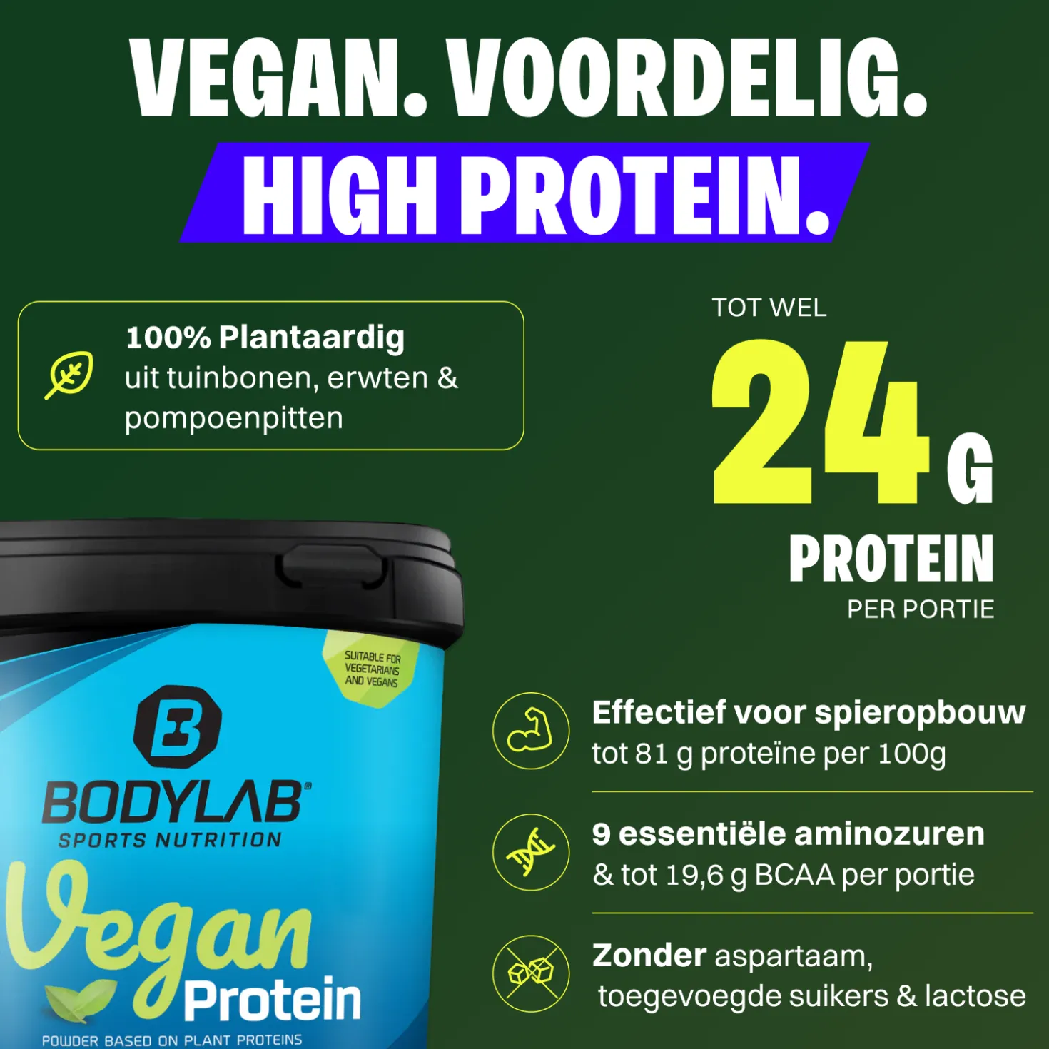 Vegan Protein (1000g)