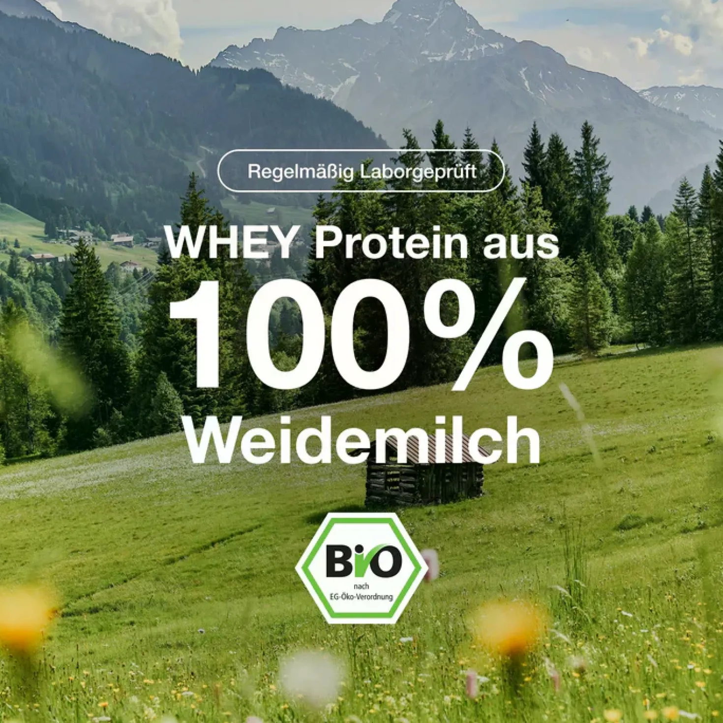 Whey Protein bio (1000g)