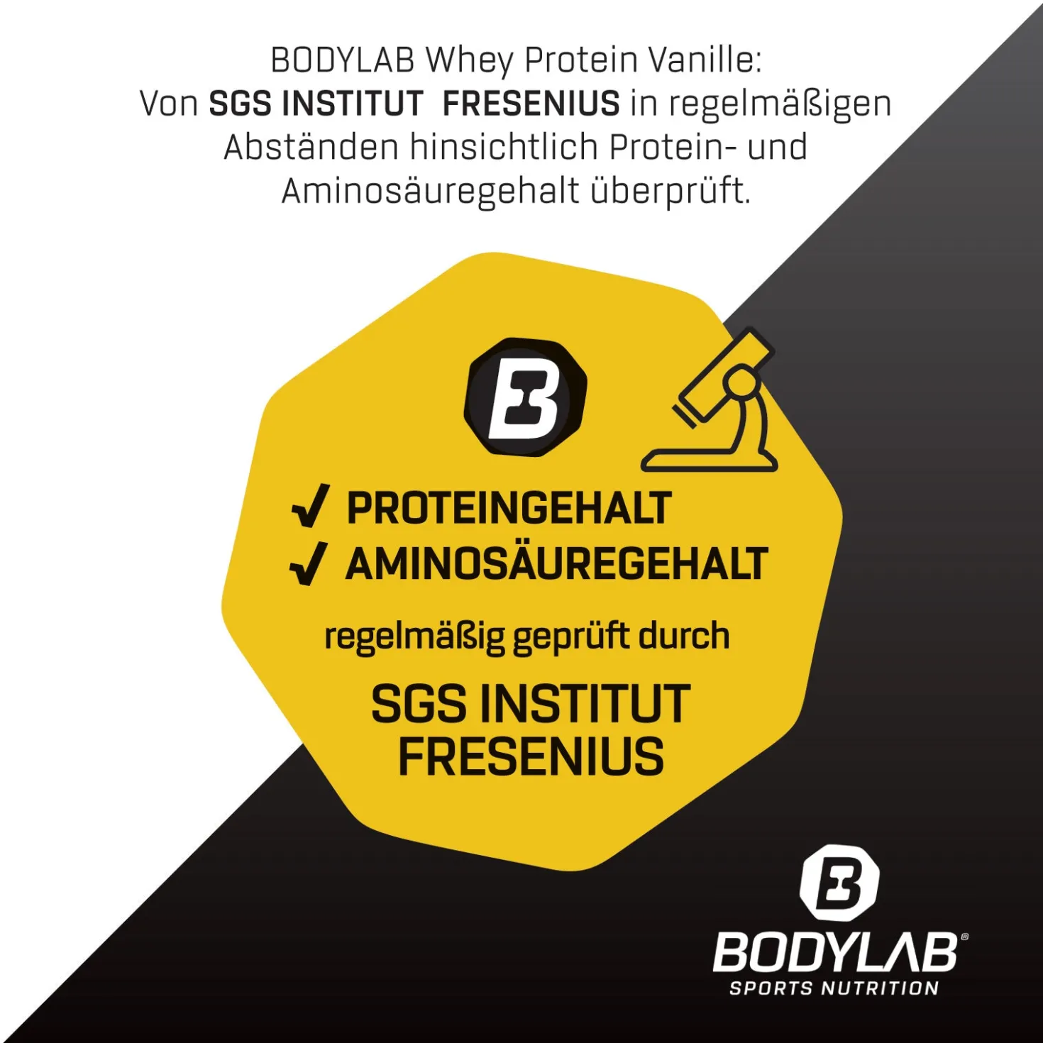 Whey Protein (2000g)