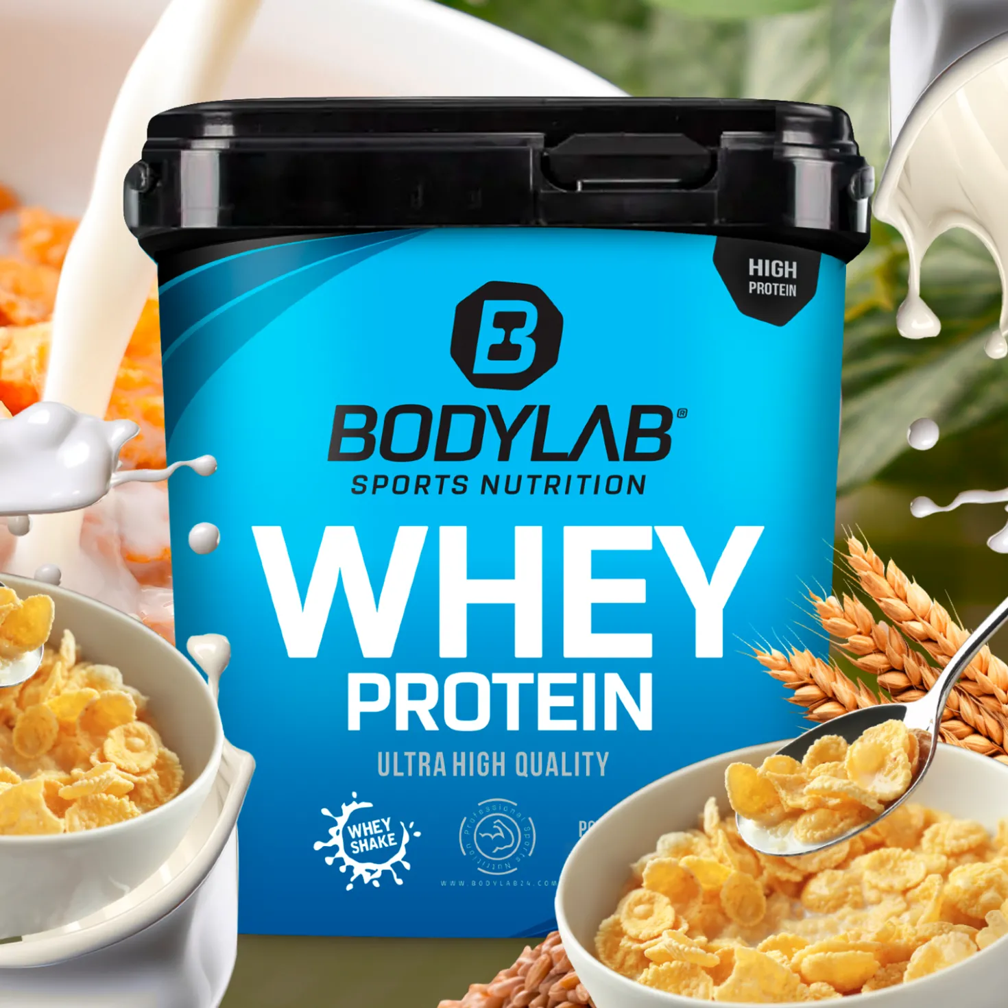 Whey Protein (2000g)