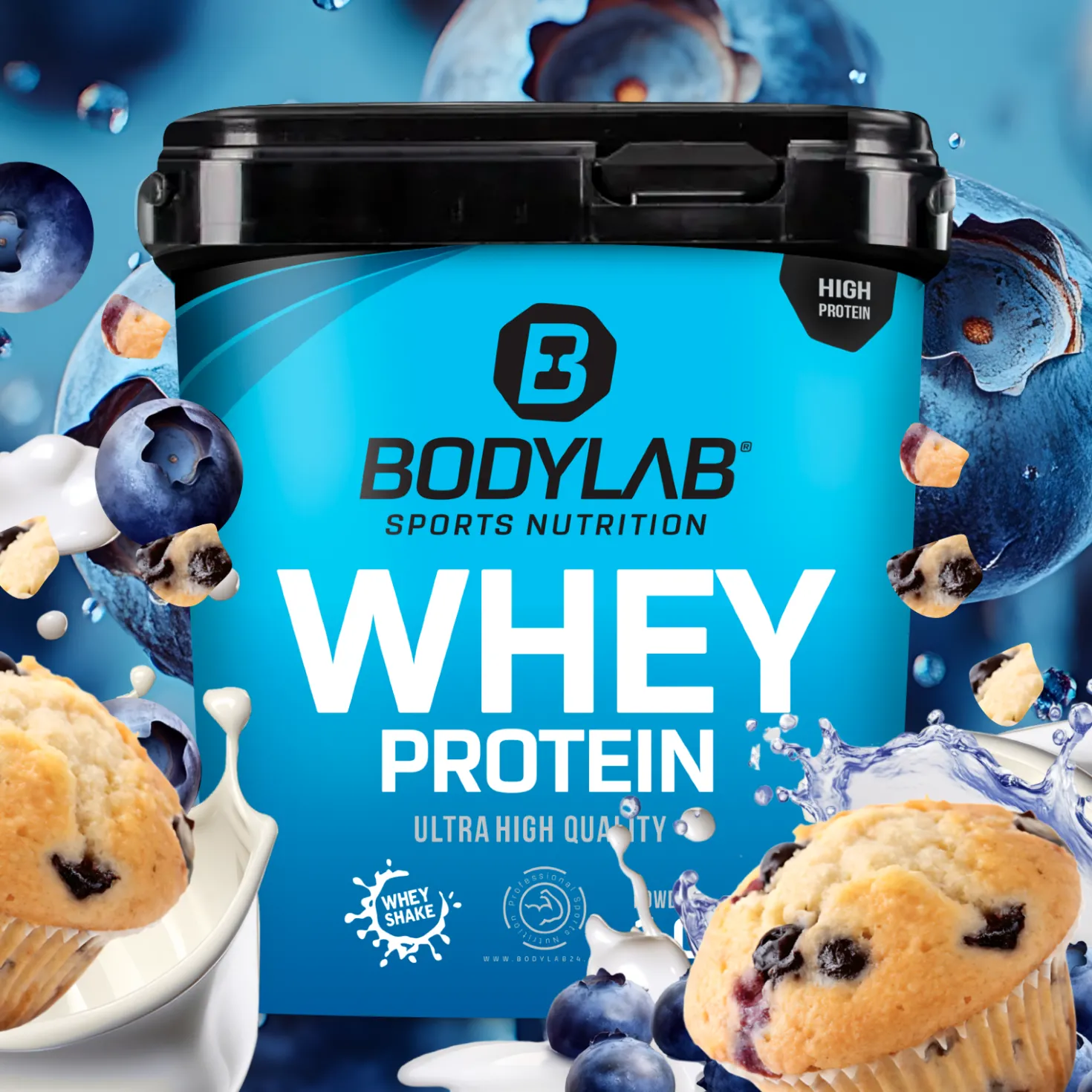 Whey Protein (2000g)
