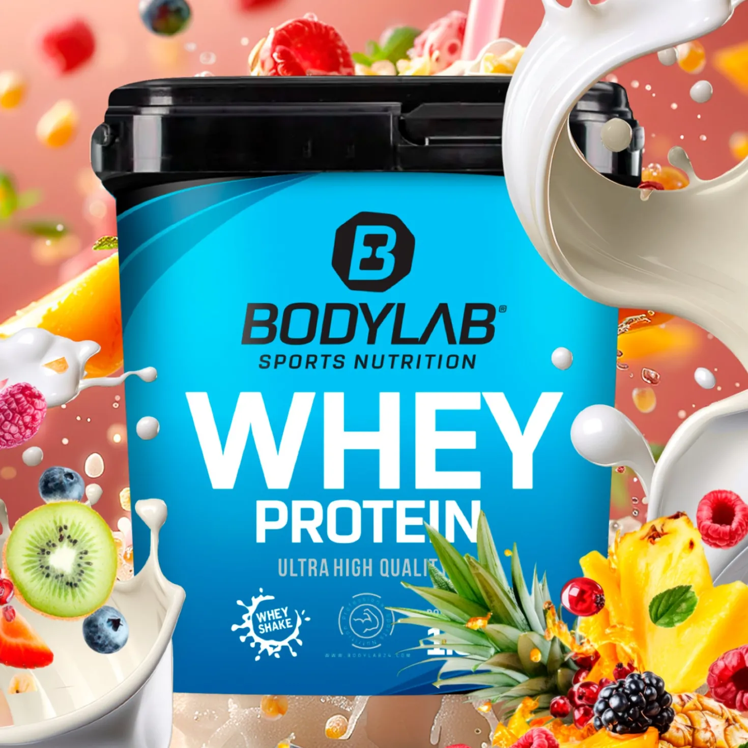 Whey Protein (2000g)