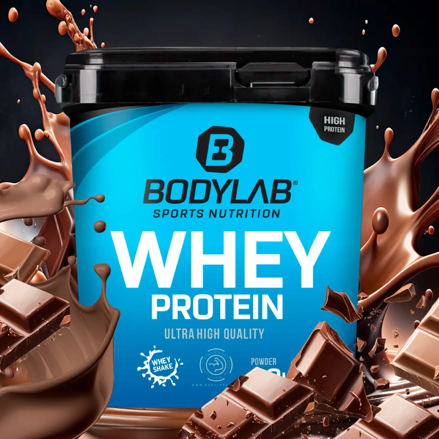 Whey Protein (1000g)